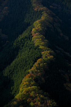 de-preciated:  The Path of Autumn (by M.UEMURA…Thank you for 1,900,000  viewings) Taken on October 25, 2014 