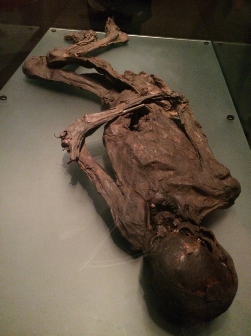 sarahthewonderfilled:  For sixpenceee! The bog bodies of Ireland! Reeaallly old mummified bods, the oldest being about 4000 years old. They’re so well preserved “…due to the cold, acidic, oxygen-free conditions that persist beneath peat bogs and