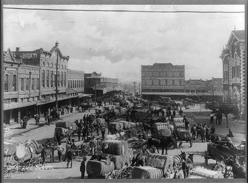 Horse-drawn wagons loaded with cotton bales on a busy commercial street in Gainesville (Texas, 1910s