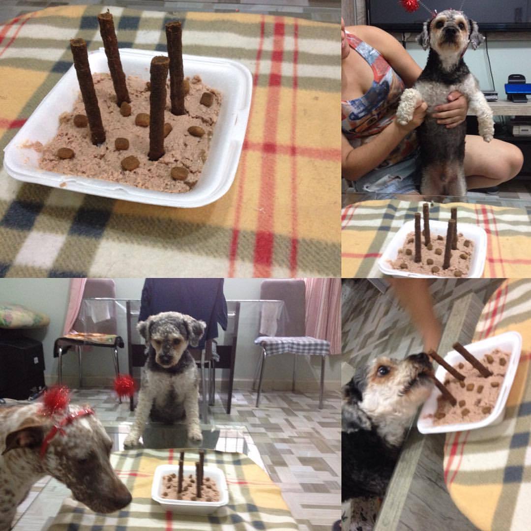 joaismccloud:  Olha quem está fazendo aniversário hoje!! Huahua Meu filhote Zoro!!