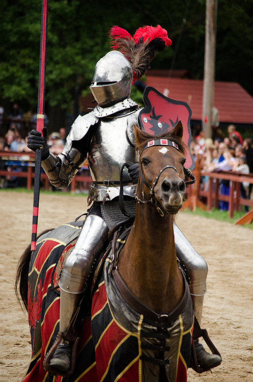 ritasv:Joust of Skill by Pahz on Flickr.