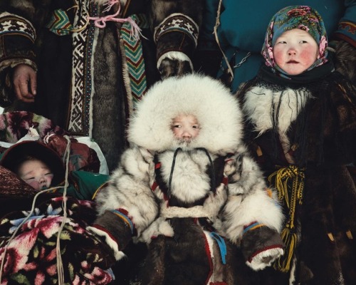 redmensch:Indigenous Peoples of Siberia: The Nenets are an ancient Arctic people who live in norther