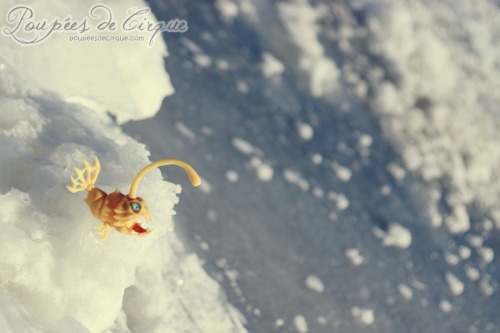 Another fishy friend went with me for photos, the channel gives vibes of the sea ♥