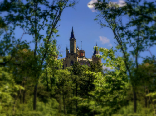medieval-lady:   Castle Hohenzollern - II - Germany - by KF-Photo 