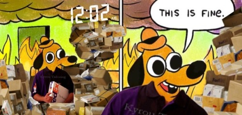 We can’t have our phones at work so there aren’t a lot of Fed Ex warehouse worker memes. Here’s my c