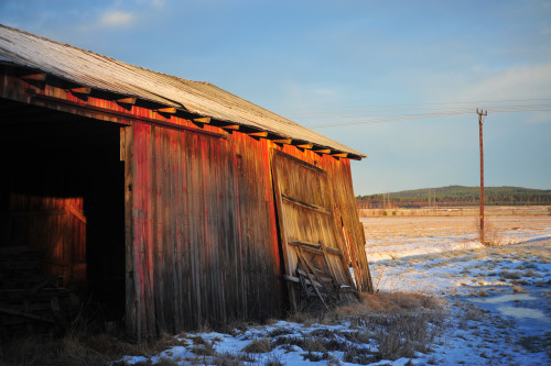 Old Barn XII