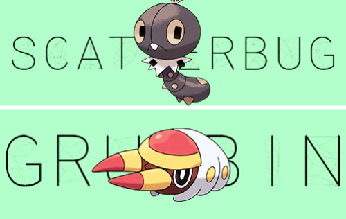 corsolanite:Regional Bug-Types  ♡Caterpie○ Weedle○Ledyba○Pineco○Spinarak○Wurmple○Surskit○ Burmy○Kric