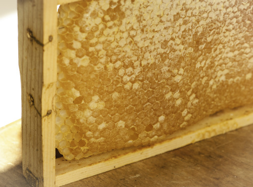 This Was The First Time I Tried The Honey From The Hive, Having Smelt It On And Off For The Past Two