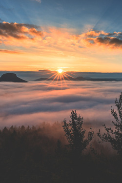 visualechoess:sunrise over a river of fog  by : Iven Eissner