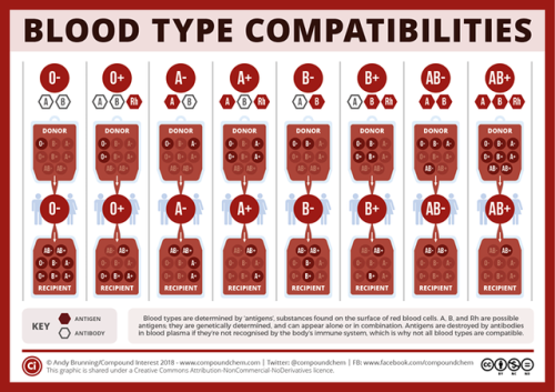 compoundchem:  For #WorldBloodDonorDay, learn which blood types are compatible with which with this graphic: http://bit.ly/2XS7kAI http://bit.ly/2x0B6ah