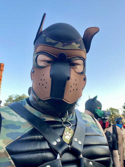 Puppywalk At Folsom Europefuck You Putin