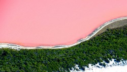 nipplxs:  I really want to go to pink lake, in western australia 🙌🏻
