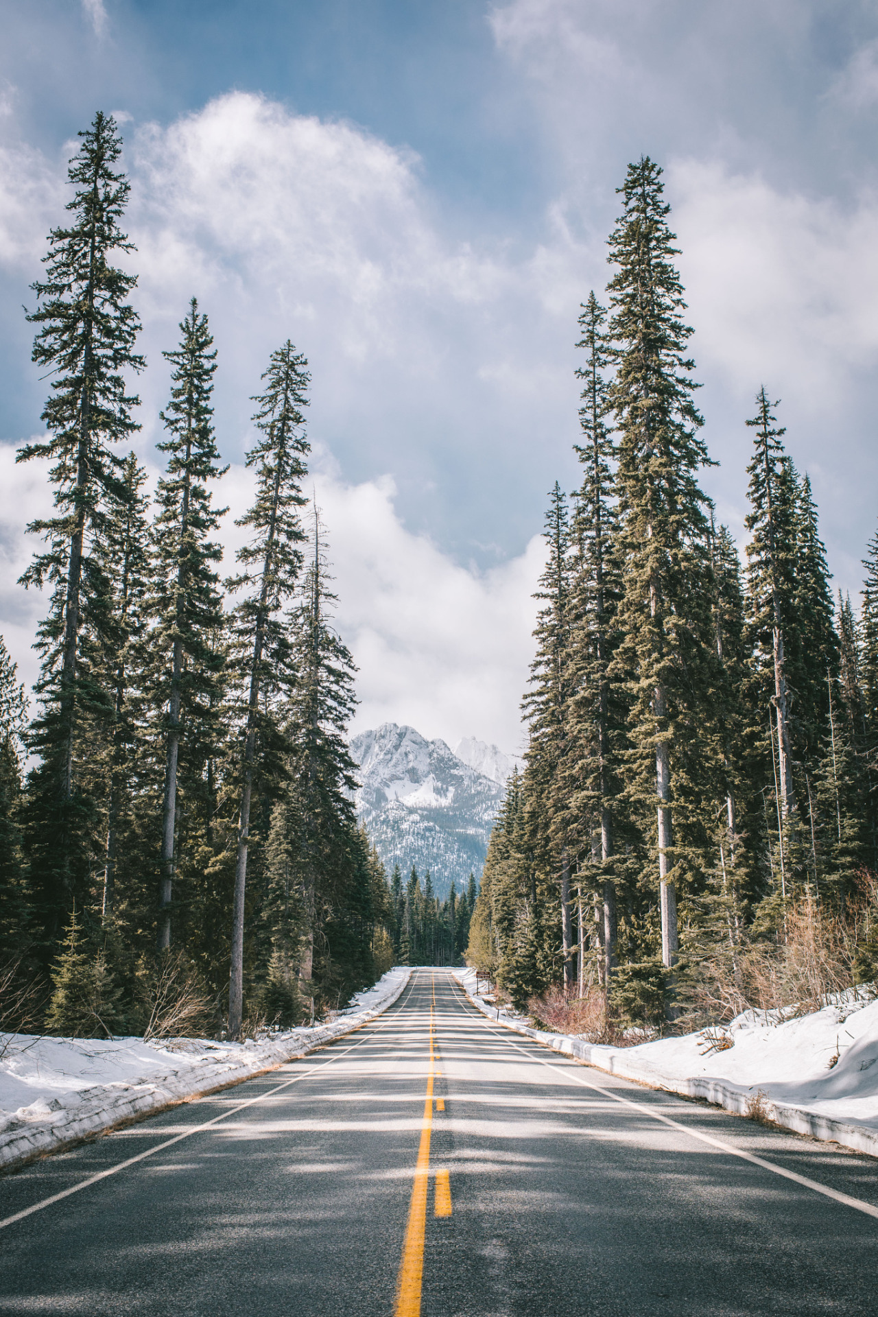 stayfr-sh:  Down This Road Alone