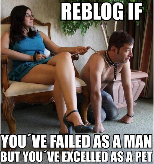 Hahahaa