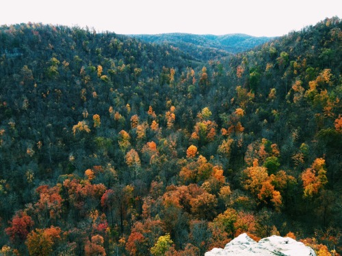 vhord:  strictly nature