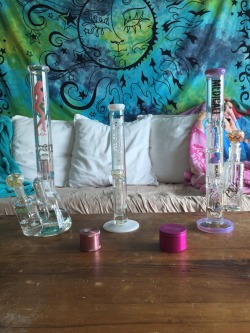 scoobys-doobie:  my roommate cleaned our babes while I was in class😍 