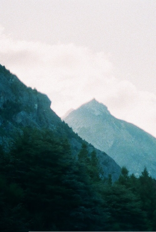 be-a-serial-killer:vintage paradise