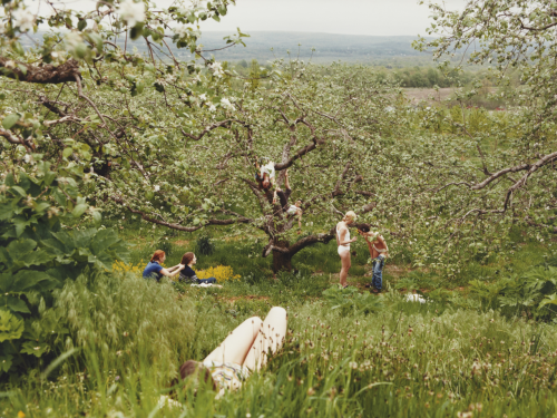 exene: virginiasummer: Justine Kurland  B.1969 -  tremendous vibe…….