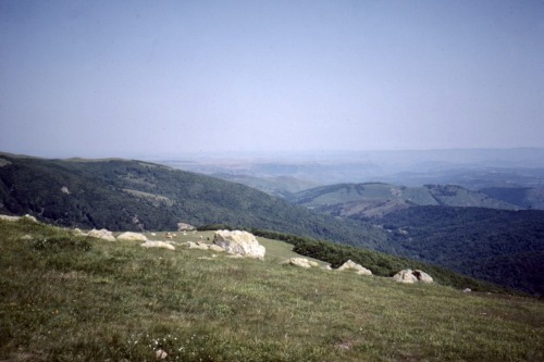 Vue vers le nord-ouest depuis près du sommet de Mont Aigoual, Parc National des Cévennes, Gard, 1984