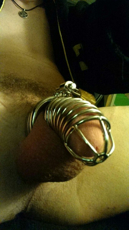 puppehlove88:Day 3 of Lockup :) Thank YOU for letting me out to sleep last night, SIR. I am happy to uncage it overnight so it can still get hard in my sleep, keeping the tissue from shrinking for when MASTER likes to play with HIS bitch’s big useless