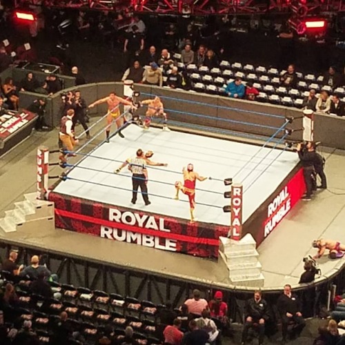 #wweroyalrumble  #wweroyalrumble2018