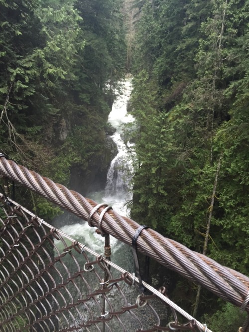 xistant:  Lynn Canyon Suspension Bridge: Vancouver, Canada // i.g - t.l.n