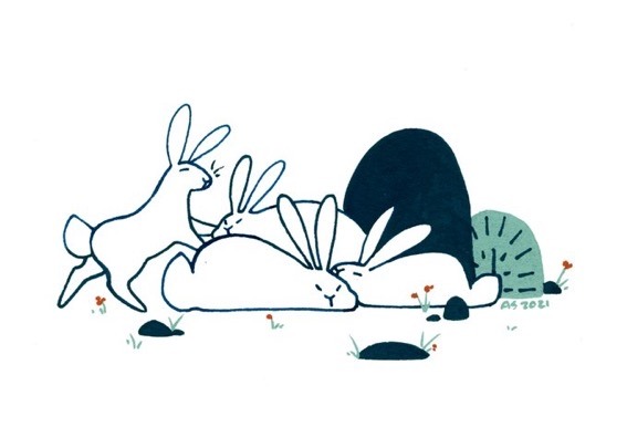 A rabbit looks to join his napping friends. 