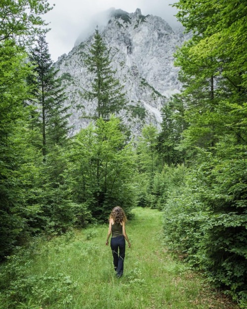 talloene:Roaming the forests of Triglav National Park.