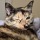 senpai76:  grime-trash-rat:  senpai76:   lmao what even is this, reyes? you look