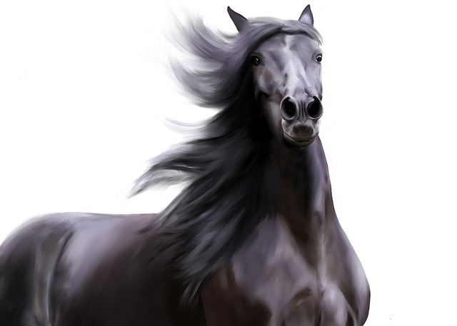 Horse Symbolism & Meaning  Spirit, Totem, & Power Animal