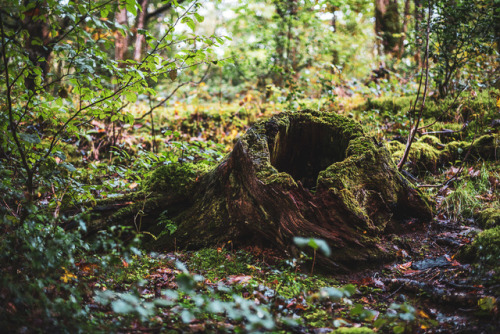 witchy-kitchen-craft - A weekend in the English Countryside....