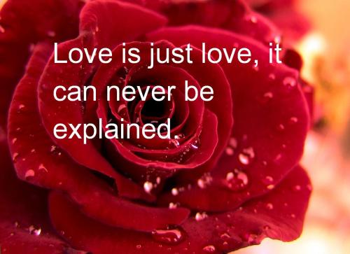Good Morning&hellip;Happy Valentine’s Day! ***EXPLORE the CaribbeanFacebook