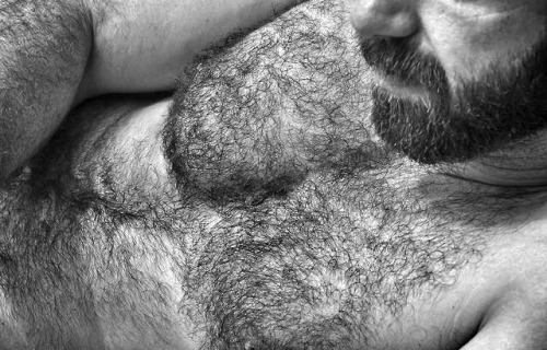 abeautifulindiscretion:  Hair Crop 