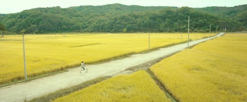 mean-vampyre:WOMEN IN FILM CHALLENGE (2021) - [4/52] Little Forest, dir. Yim Soon-rye (2018).