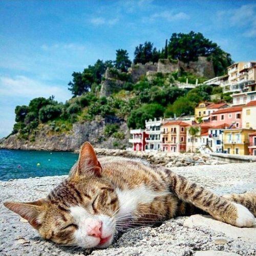 Lazy summer days. Photo by @theofano.b #Parga #Greece