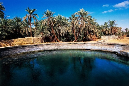Cleopatra’s bath, Siwa Oasis
