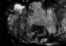 mizworldofrandom:  King Kong (1933)  