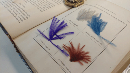 othmeralia:The Othmer Library is happy to report that we can now assist you with all your ostrich fe