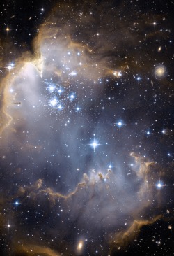 humanoidhistory:  A section of a NGC 602, aka N90, observed by the Hubble Space Telescope. (Credit: NASA, ESA and the Hubble Heritage Team STScI/AURA)-ESA/HubbleCollaboration.)(ESA Hubble)