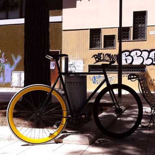 ifuckinlovefixedgearbikes: Still standing #fixedgear #fixed #bike #bikes #fixedgearbike #photoofthed