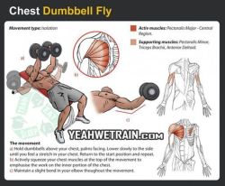 severelyfuturisticharmony:   Chest workouts