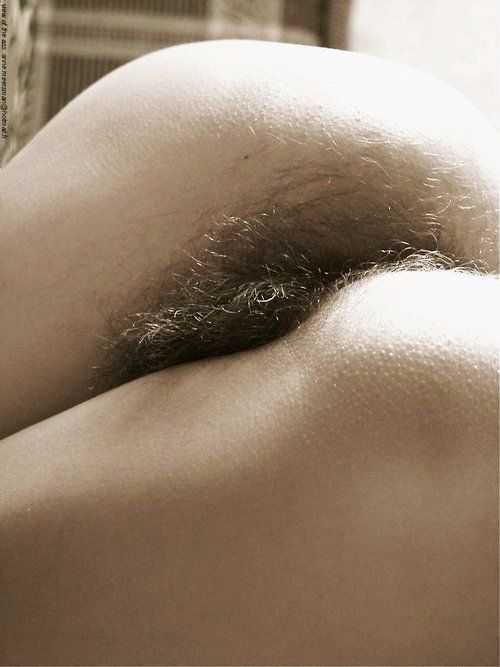 allhairygirls:  Another perfect hairy pictures at http://allhairygirls.tumblr.com/archive
