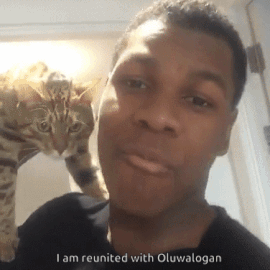 verifascinating:  John Boyega has a cat. I’m happy. 