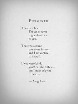 langleav:   New book Love & Misadventure by