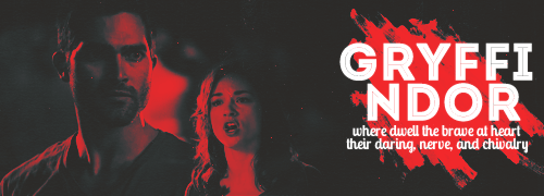 boostilinski:  Teen Wolf characters and their Hogwarts Houses 