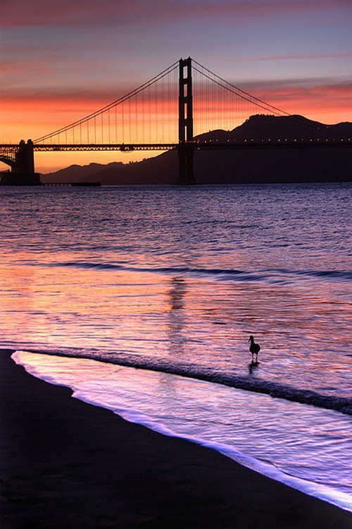 wonderous-world:  Crissy Fields sunset by canbalci on Flickr.