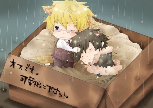 hikocchi:  SO AWESOME CUTE!!!!*___*