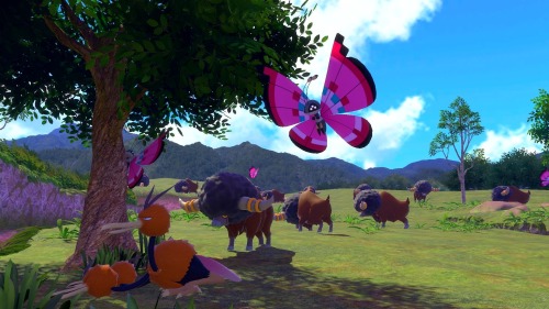 Can We Talk About How Amazing The Graphics Look For The New Pokmon Snap Game? This Game Looks So Gorgeous!!!