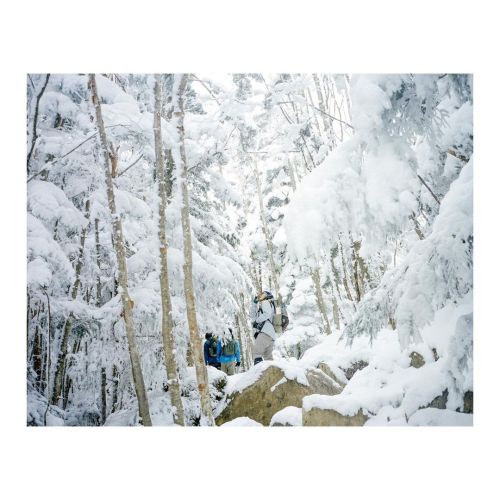 樹林帯に降り積もる雪を見れただけでも満足⛄️ #mamiya7 #portra400 https://www.instagram.com/p/CJV3wTHB1Vl/?igshid=by0yn50