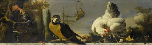 Melchior d’Hondecoeter, Birds on a Balustrade, 1680 - 1690. Oil on canvas. Via Rijksmuseum. D’Hondec